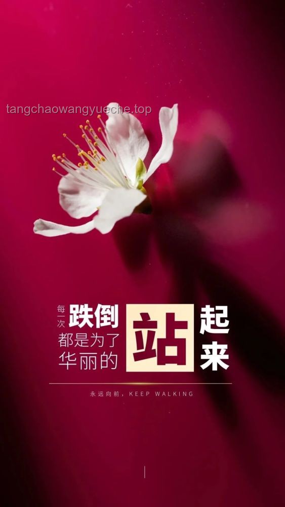 早晨起床这样发朋友圈，“出门见喜，遇见贵人”，打造正能量开场